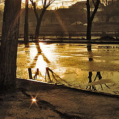 photo "February rain"