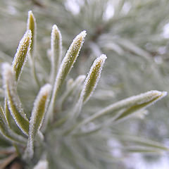 фото "холодно"