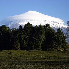 photo "Veiled Peak II"