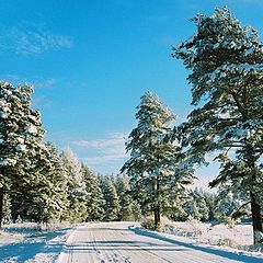 photo "Winter road"