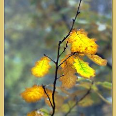 фото "Последние краски..."