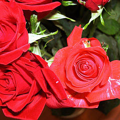 фото "Hapyy Valentines Day"