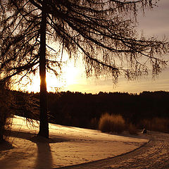 фото "Light of the evening"