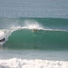 фото "Surf"