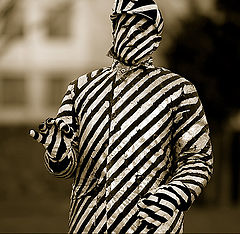 photo "[the zebra man]"