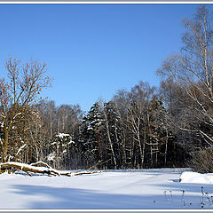 фото "Зима-2004. Этюд1"