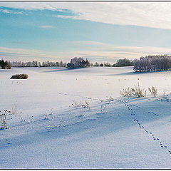 photo "The harel tracks"