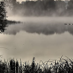 photo "The morning covers by a mist."