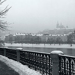 photo "The Prague quay"