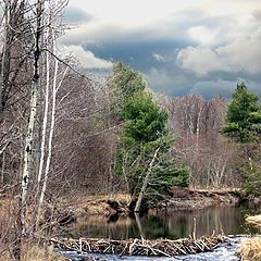 фото "Beaver Dam"