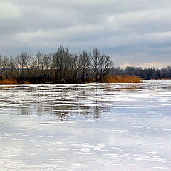 photo "thawing weather"