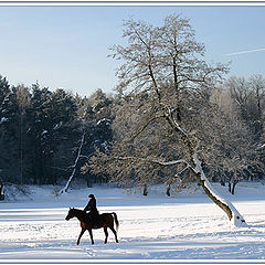 photo "Winter - 2004. Etude2"