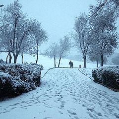 photo "Jerusalem Under Snow"