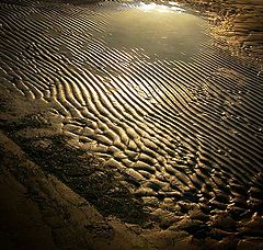 photo "The sea-sand and slanting beam of light"