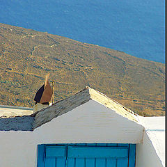 photo "The door to the sea"