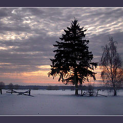 photo "Winter landscape"