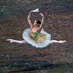 фото "Ballet"