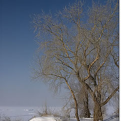 фото "Зимний этюд"