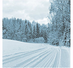 photo "winter"