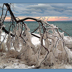 photo "After the storm"