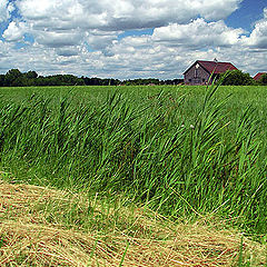 photo "Peaceful Farm"