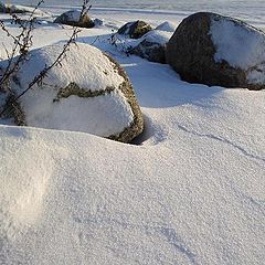 фото "Берег моря зимой."