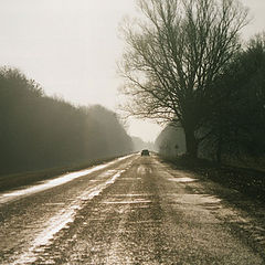 photo "The road home"