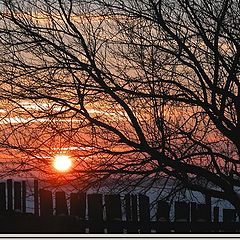 фото "evening silhouettes"