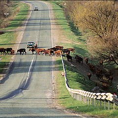 photo "Road impression..."