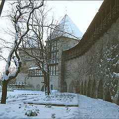 photo "Tallinn. The maiden tower."