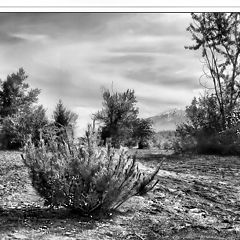 photo "HEAT 2"