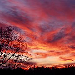 photo "Rhythms of Reds"