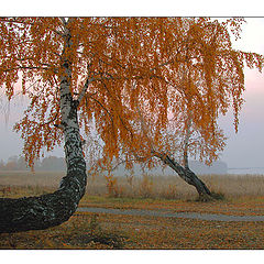 фото "Осенняя грусть"