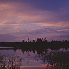 photo "A lot of colores of the sunset"