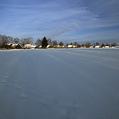 photo "In the vast expanses of village"