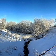 photo "Winter etude XIV on Dragvoll"