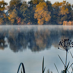 photo "It is a little paints of autumn."