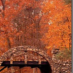 фото "Fall Bridge"