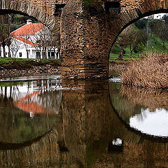 photo "reflex in circular frames"