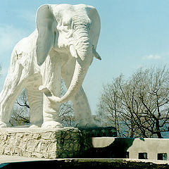 photo "The elephants above Volga ( Cycle Samara City)"