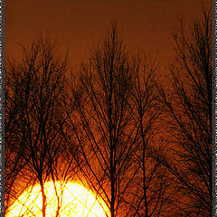 photo "sunset"