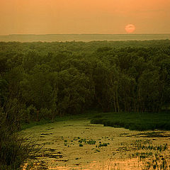 фото "Амазоник"