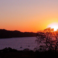 photo "sunset in the tropics"