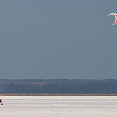 photo "Games with a wind"