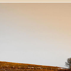 photo "Alberta Prairies"