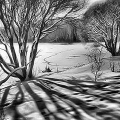 photo "light&shadows"