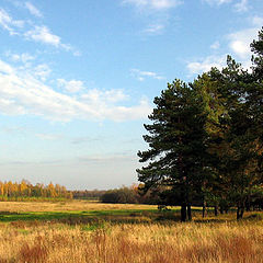 photo "Just autumn"