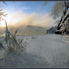 фото "На рассвете"