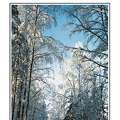 photo "Winter road - 2"
