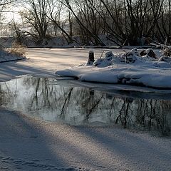 photo "Shadows of winter"